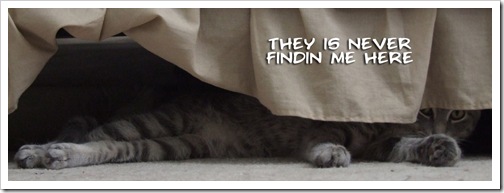 hiding