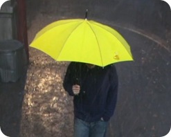 the-Yellow-Umbrella